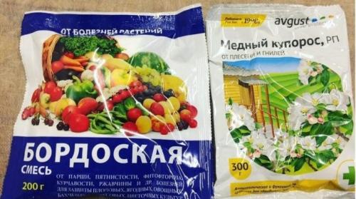 Чем садовый вар с медным купоросом отличается от других средств для защиты растений. Что лучше – бордоская жидкость или медный купорос?