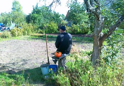 Что можно посадить в октябре в саду. Что мы сажаем и сеем в октябре: октябрьская народная шпаргалка