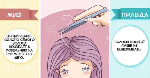 7 популярных мифов о секущихся концах волос. 10 популярных мифов об уходе за волосами и вся правда о них 03 7 популярных мифов о секущихся концах волос. 10 популярных мифов об уходе за волосами и вся правда о них 03