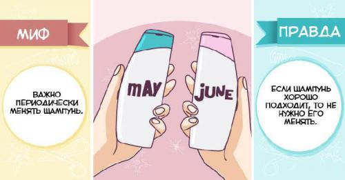 7 популярных мифов о секущихся концах волос. 10 популярных мифов об уходе за волосами и вся правда о них 07 7 популярных мифов о секущихся концах волос. 10 популярных мифов об уходе за волосами и вся правда о них 07