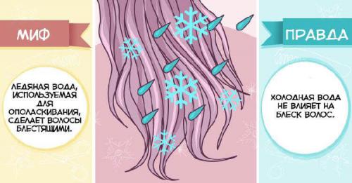 7 популярных мифов о секущихся концах волос. 10 популярных мифов об уходе за волосами и вся правда о них 04 7 популярных мифов о секущихся концах волос. 10 популярных мифов об уходе за волосами и вся правда о них 04