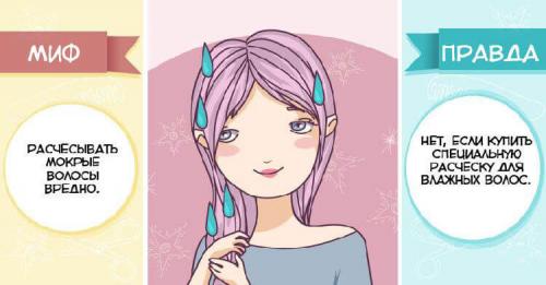 7 популярных мифов о секущихся концах волос. 10 популярных мифов об уходе за волосами и вся правда о них 08 7 популярных мифов о секущихся концах волос. 10 популярных мифов об уходе за волосами и вся правда о них 08