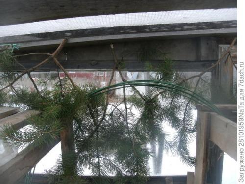 Какие работы проводить в теплице осенью. Теплица. Осенние работы в ней