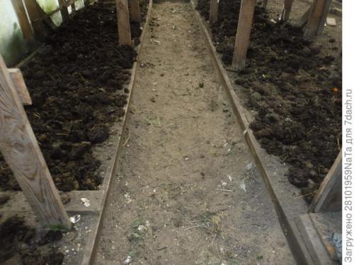 Какие работы проводить в теплице осенью. Теплица. Осенние работы в ней