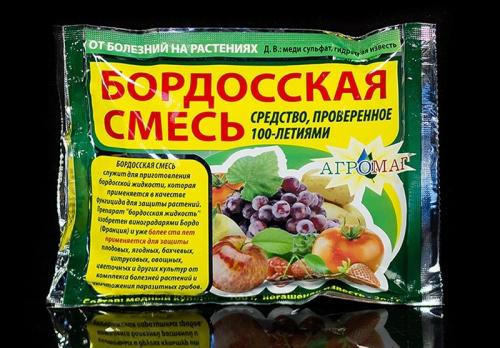 Чем обработать землю в теплице от грибковых заболеваний. 6 эффективных способов обработки почвы от грибка