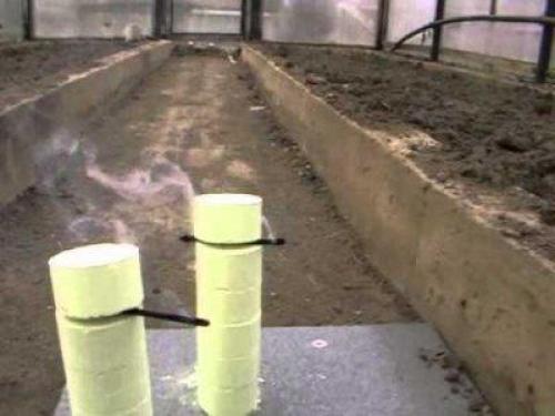 Нужно ли перекапывать землю в теплице весной. Какие способы дезинфекции почвы существуют?