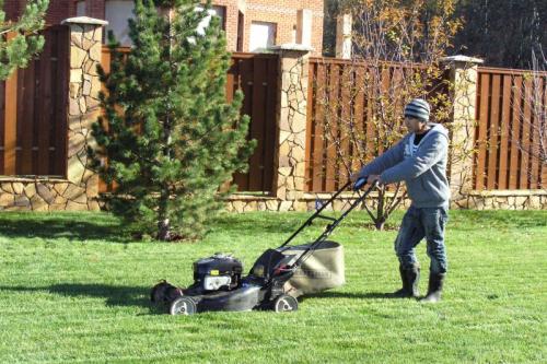 Готовим газон к зиме. Как подготовить газон к зиме 09