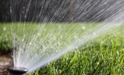 Когда удобрять газон осенью. Чем подкормить газон осенью 08