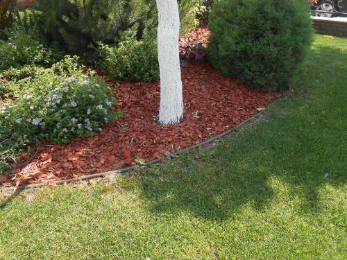 Когда удобрять газон осенью. Чем подкормить газон осенью 04