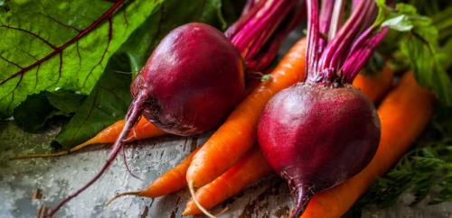 Чем подкормить свеклу в июле. Помощь в росте и развитии: чем подкормить морковь и свеклу в июле?