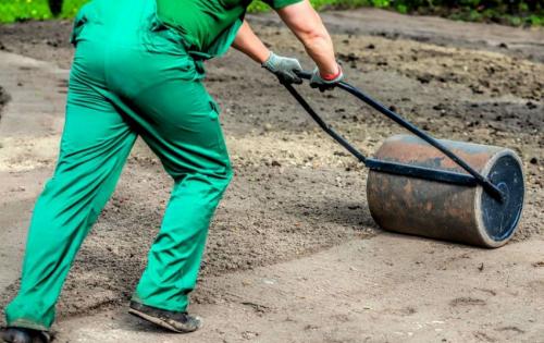 Уход за газоном после посадки осенью. Газон посадка и уход 01