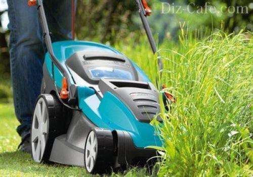 Уход за газоном после посадки осенью. Газон посадка и уход 02