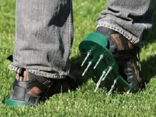 При какой температуре можно стричь газон. Подготовка газона к зиме: очистка и аэрация