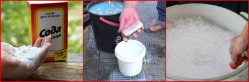 Как избавиться от рыжих муравьев в квартире ответы. Правила эффективного уничтожения