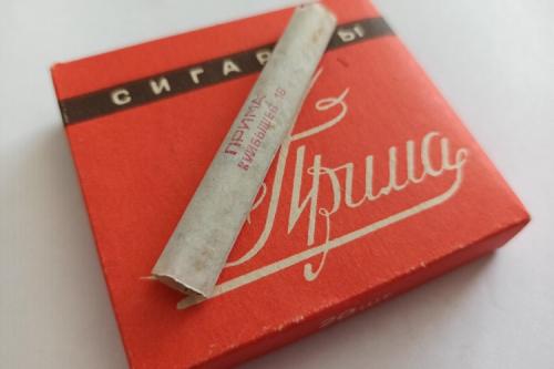 Чем обработать землю в горшке от вредителей.