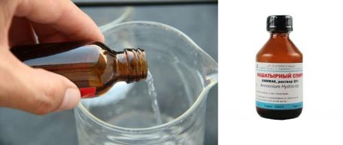 Как бороться с муравьями народными средствами. Популярные домашние методы