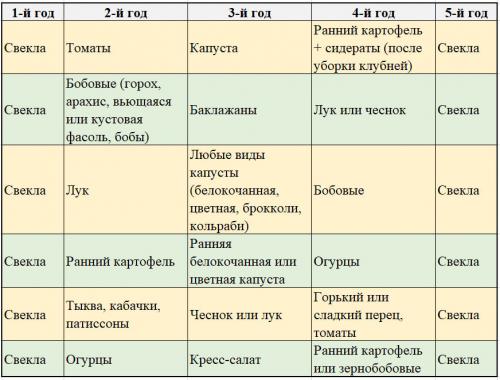 Что сажать после свеклы. Что можно сажать после свеклы на следующий год: подробные таблицы