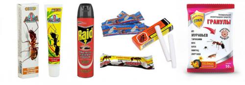 Самый эффективный способ борьбы с муравьями. Химические средства