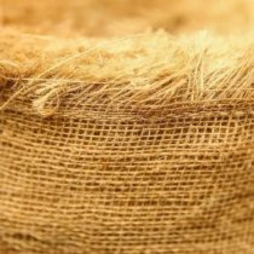 Как защитить растения от заморозков. Как защитить растения от мороза